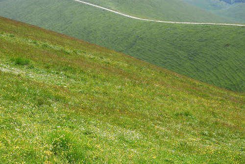 Malga Lessinia, monte Castelberto, Podestaria, Lessini