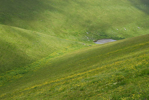 Malga Lessinia, monte Castelberto, Podestaria, Lessini