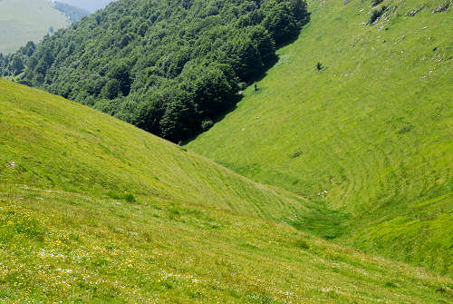 Malga Lessinia, monte Castelberto, Podestaria, Lessini