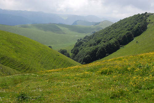 Malga Lessinia, monte Castelberto, Podestaria, Lessini