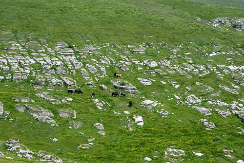 Malga Lessinia, monte Castelberto, Podestaria, Lessini