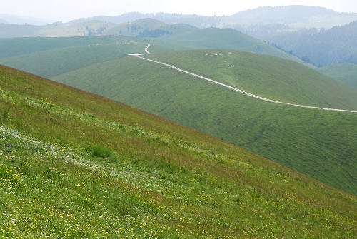 Malga Lessinia, monte Castelberto, Podestaria, Lessini