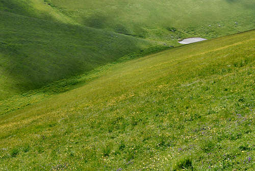 Malga Lessinia, monte Castelberto, Podestaria, Lessini