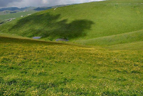 Malga Lessinia, monte Castelberto, Podestaria, Lessini