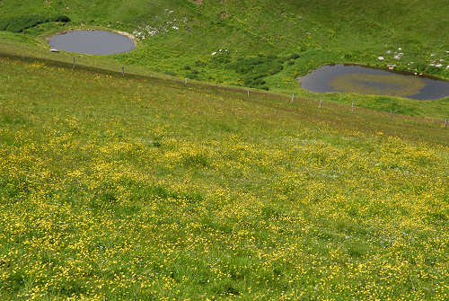 Malga Lessinia, monte Castelberto, Podestaria, Lessini