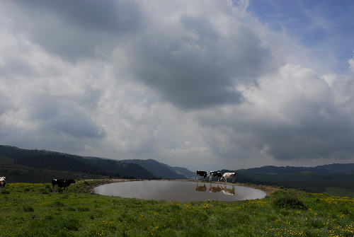 Malga Lessinia, monte Castelberto, Podestaria, Lessini