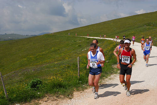 Malga Lessinia, monte Castelberto, Podestaria, Lessini