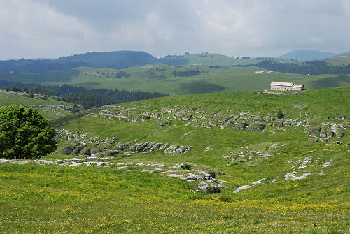 Malga Lessinia, monte Castelberto, Podestaria, Lessini