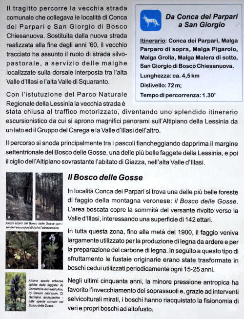 Parpari, Camposilvano, Velo Veronese, monti Lessini