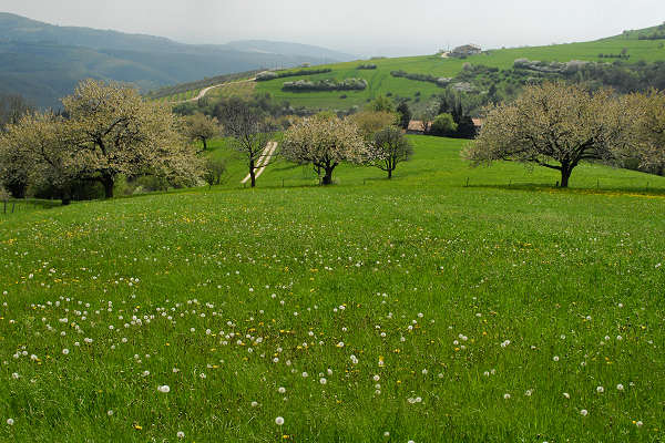 Cerro Veronese, monte Santa Viola, Lessini
