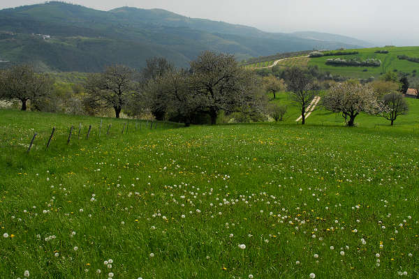 Cerro Veronese, monte Santa Viola, Lessini