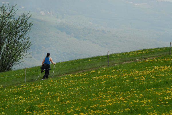 Cerro Veronese, monte Santa Viola, Lessini