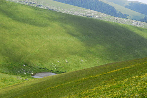 Erbezzo, Malga Lessinia, Lessini