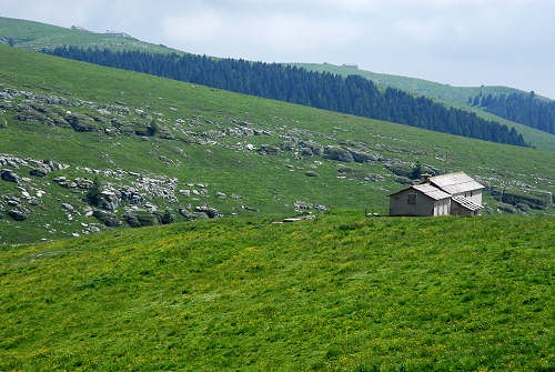 Erbezzo, Malga Lessinia, Lessini