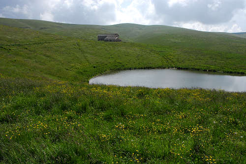 altopiano della Podestaria, alta lessina cimbra