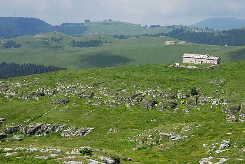 altopiano della Podestaria, alta lessina cimbra
