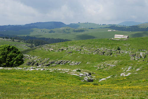 altopiano della Podestaria, alta lessina cimbra