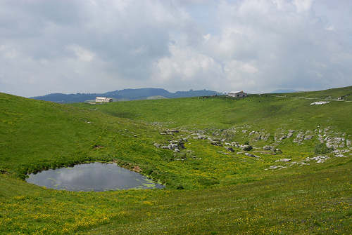 altopiano della Podestaria, alta lessina cimbra