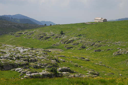 altopiano della Podestaria, alta lessina cimbra