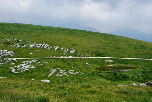altopiano della Podestaria, alta lessina cimbra