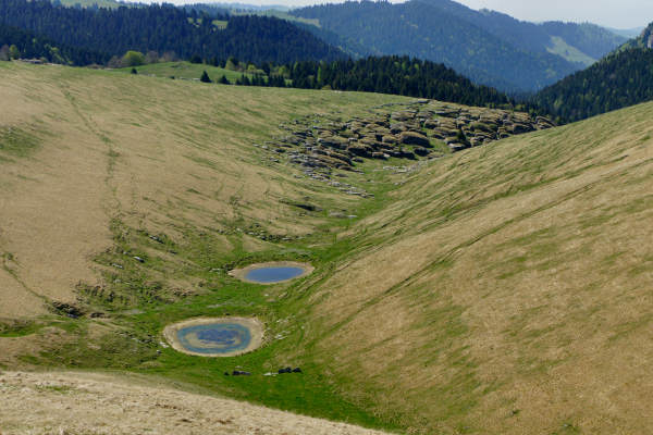 mountain bike Parpari San Giorgio Podestaria Castelberto malga Lessinia