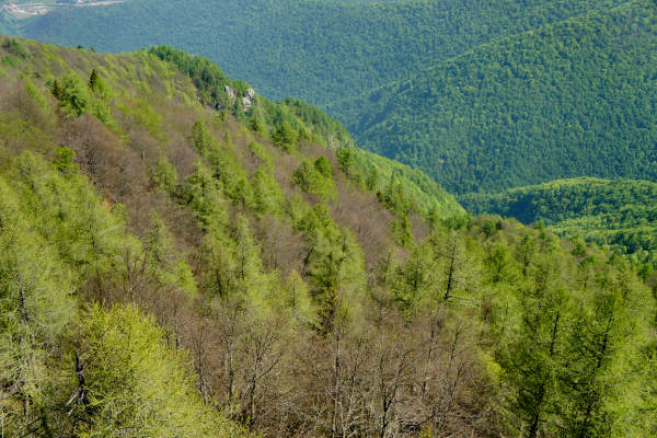 mountain bike Parpari San Giorgio Podestaria Castelberto malga Lessinia