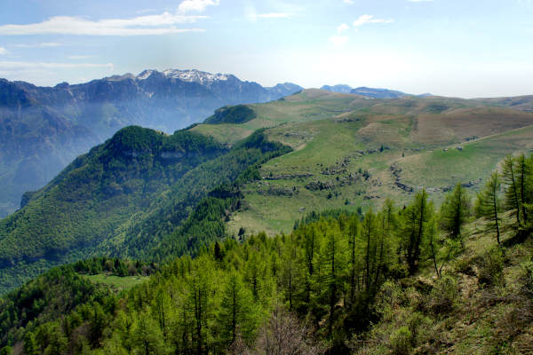 mountain bike Parpari San Giorgio Podestaria Castelberto malga Lessinia
