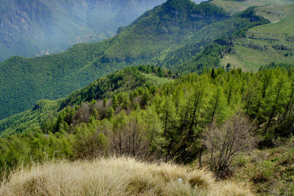 mountain bike Parpari San Giorgio Podestaria Castelberto malga Lessinia