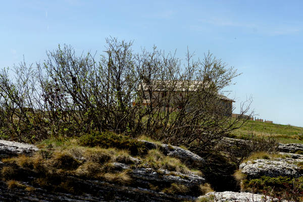 mountain bike Parpari San Giorgio Podestaria Castelberto malga Lessinia