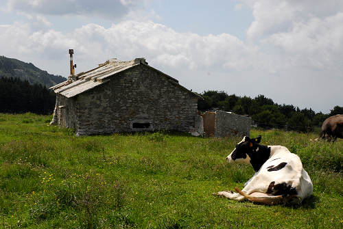Corno d'Aquilio, Fosse di Sant'Anna d'Alfaedo - Lessini, Montagna Veronese