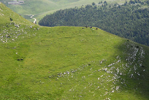 Corno d'Aquilio, Fosse di Sant'Anna d'Alfaedo - Lessini, Montagna Veronese
