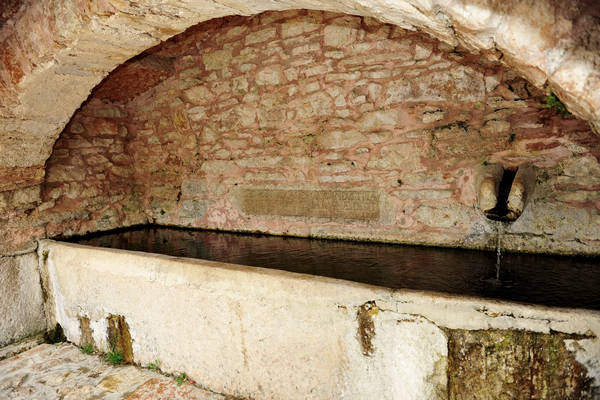 Pagani Campofontana, Selva di Progno