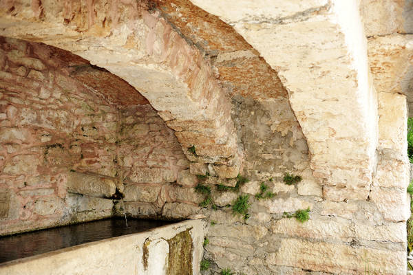 Pagani Campofontana, Selva di Progno