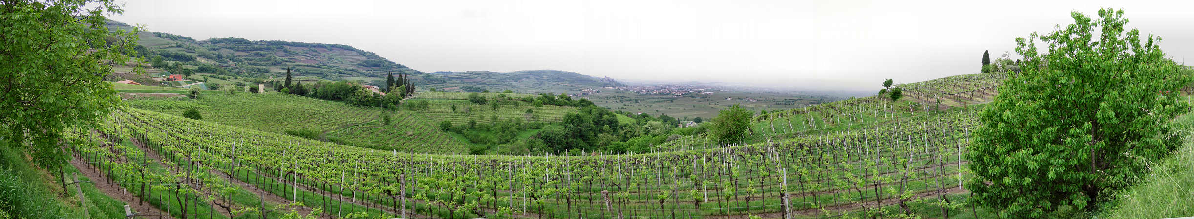 Soave, castello Scaligero, Verona