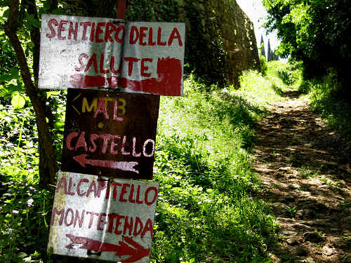 Sentiero Natura di Soave