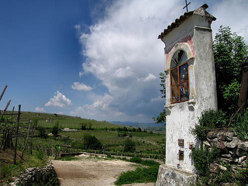 Sentiero Natura di Soave