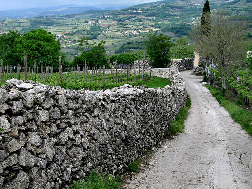 Sentiero Natura di Soave