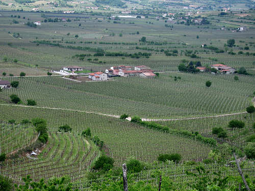 Sentiero Natura di Soave