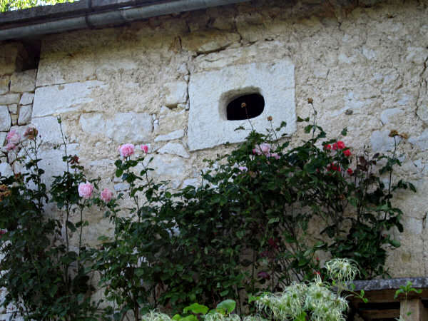 mtb contrade di Velo Veronese, Lessinia montagna veronese