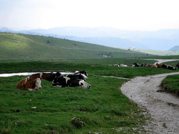 mtb contrade di Velo Veronese, Lessinia montagna veronese