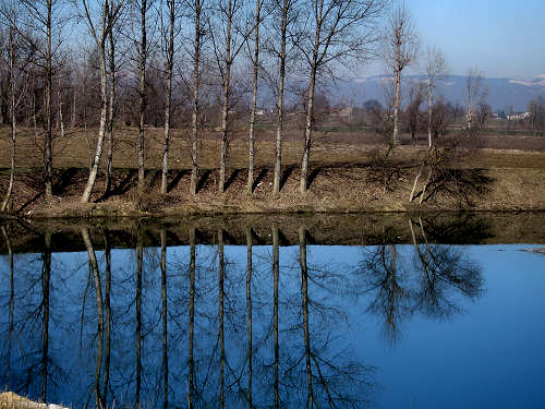 Fiume Bacchiglione