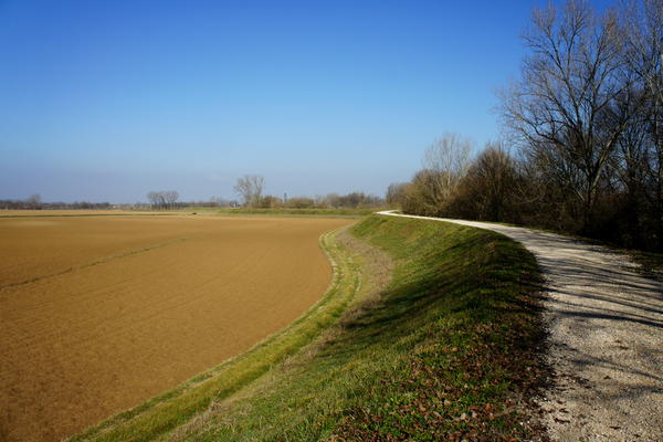 Il fiume Bacchiglione tra Selvazzano e Veggiano