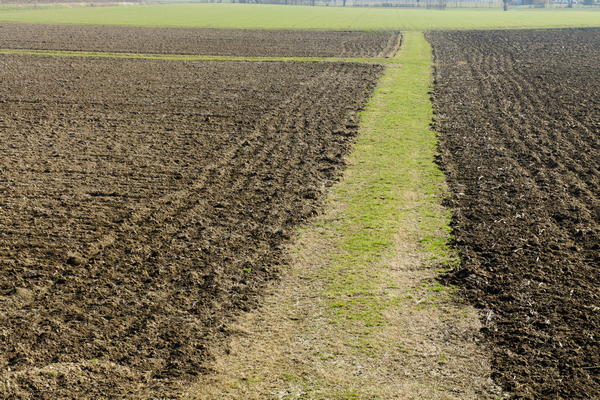 Il fiume Bacchiglione tra Selvazzano e Veggiano