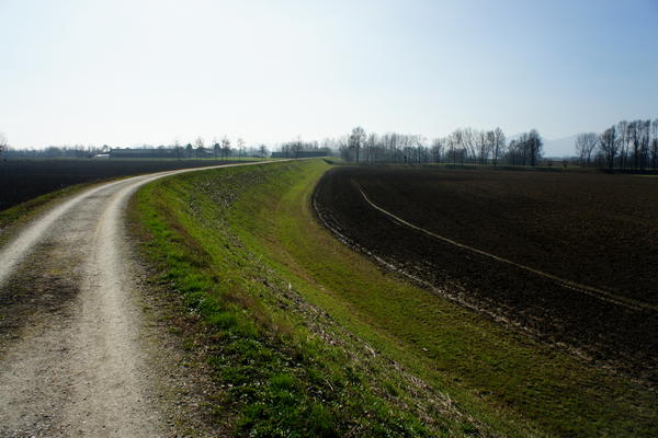 Il fiume Bacchiglione tra Selvazzano e Veggiano