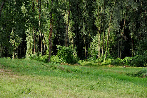 fiume Brenta a Pieve di Curtarolo