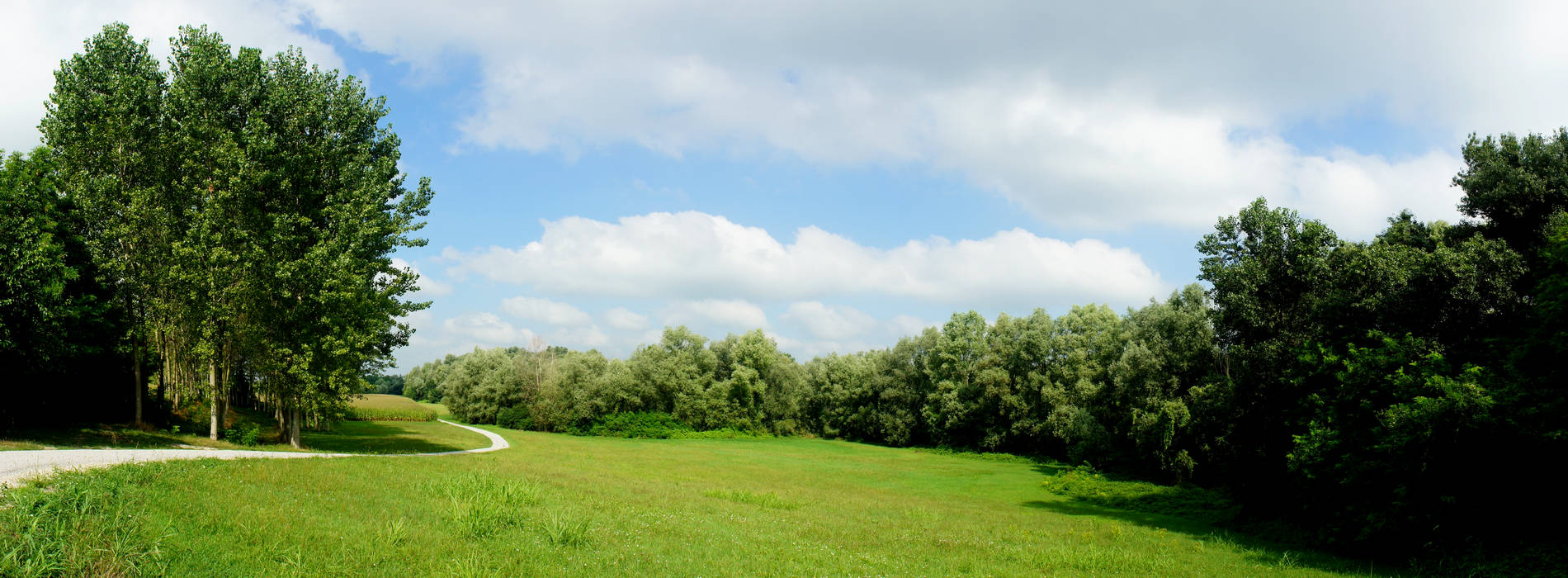 fiume Brenta a Piazzola sul Brenta
