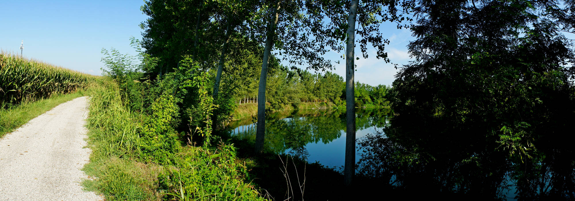 fiume Brenta a Piazzola sul Brenta