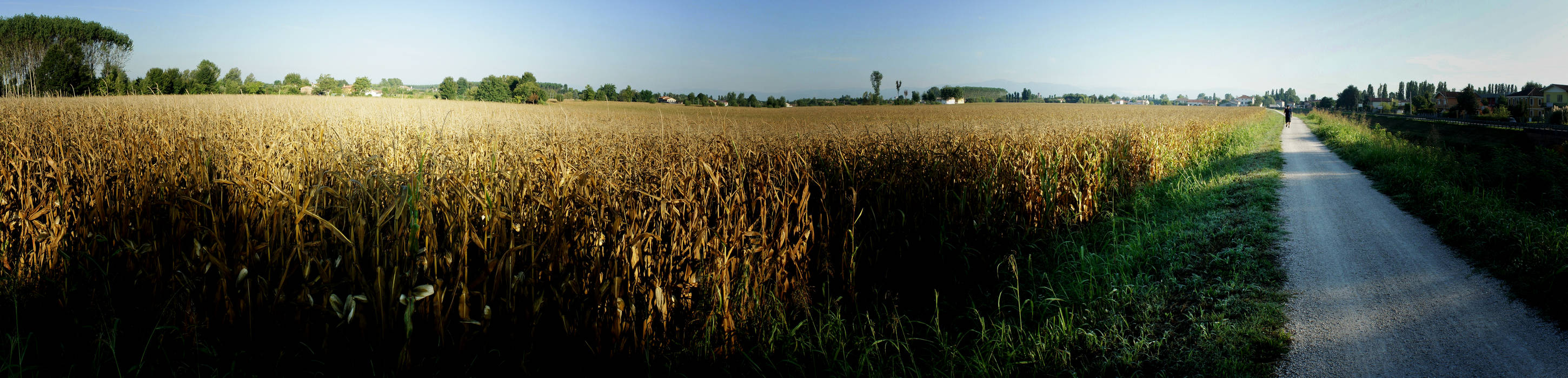 fiume Muson dei Sassi nei pressi di Campodarsego