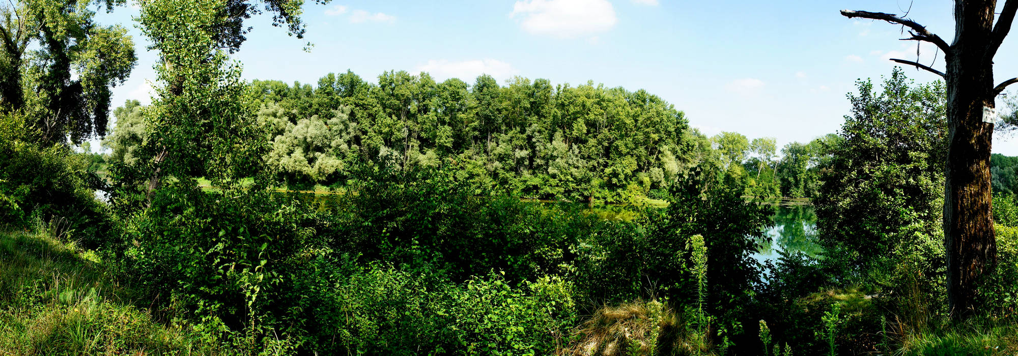 area naturalistica fiume Brenta a Carturo