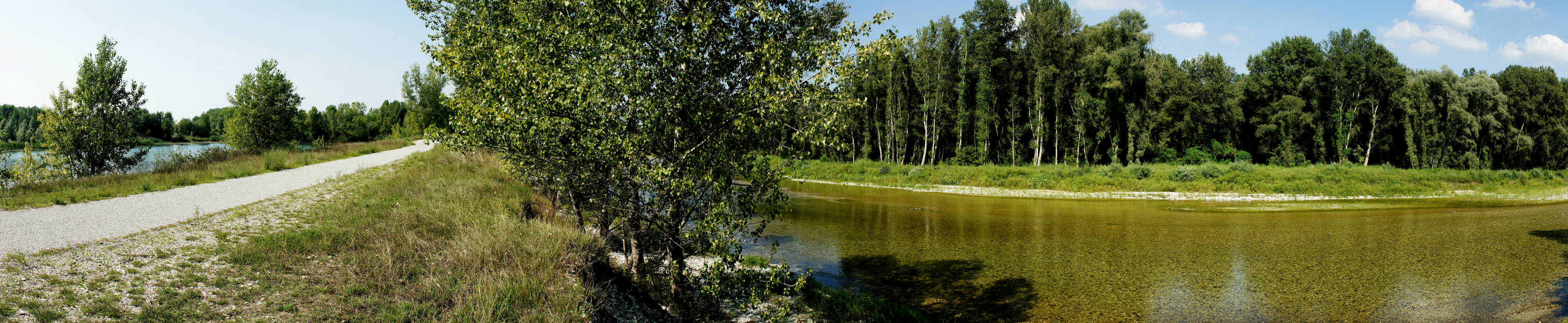 area naturalistica fiume Brenta a Fontaniva